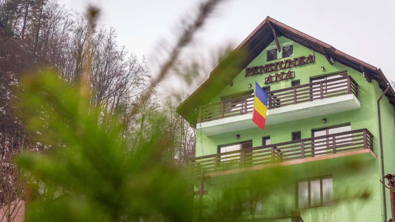 Pensiunea Ana Cavnic Exterior photo