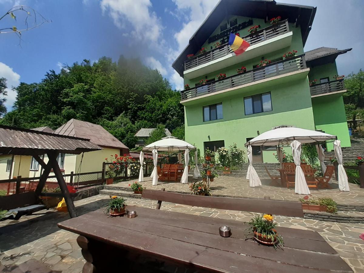 Pensiunea Ana Cavnic Exterior photo