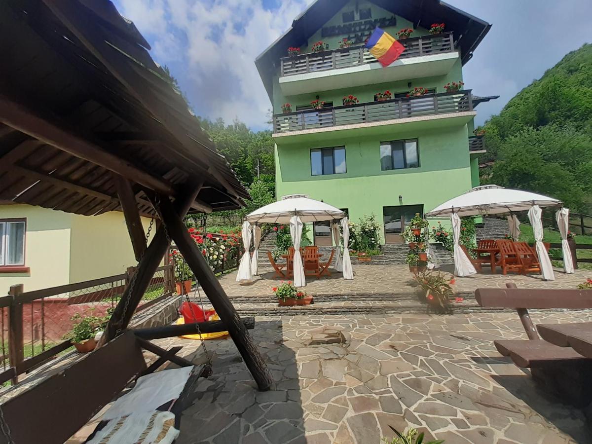 Pensiunea Ana Cavnic Exterior photo